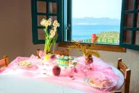 Anemone Homes
