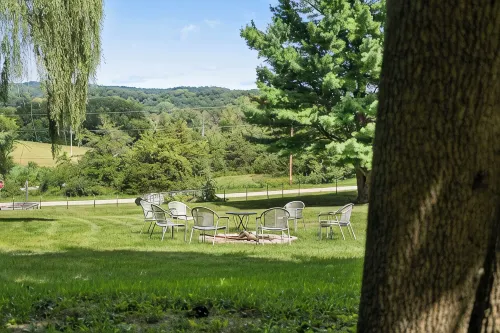 Lakeview Cabin > Unique Mid-Century Tucked in Bluff - Hytter