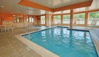 Wyndham Garden Kankakee - piscina