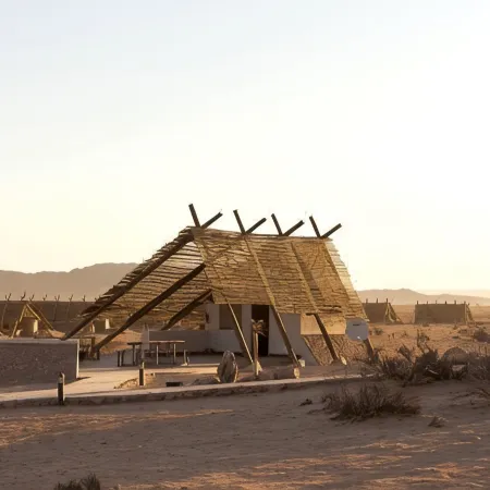 Desert Quiver Camp