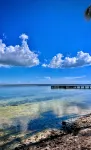 Escape to Paradise – Beautiful & Budget-Friendly Condo!