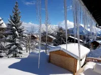 Ground floor studio 24m² - Chalet - Up to 4 people - Very close to the slopes - Homestays