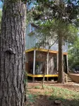 天堂松林木屋