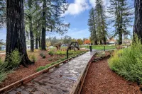 Luxury New Studio in Downtown Healdsburg with WiFi, AC, Poolhouse/Fitness Center - 3-Star