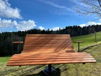 Apartment Apfel-Stadl "Jonagold", Oberreute - 公寓