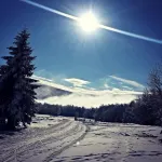 Ideal winter and summer, at the foot of the Gérardmer slopes with terrace, 2km from the lake - 3 stjerner