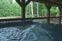Fall Foliage Riverfront Cabin w/Hot Tub, King Bed, EV & Firepit & Mountain Views - 마운틴 뷰