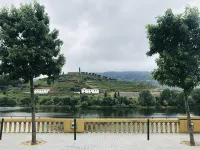 Historic center apartment in the heart of the city Peso da Régua- Douro - 2-Star