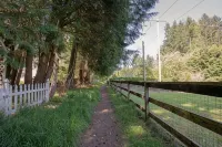 Bridle Trails Treehouse