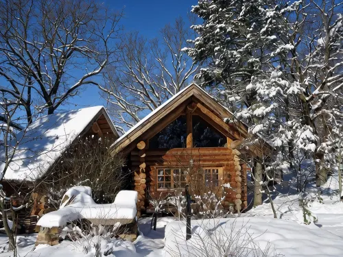 Holiday home in beautiful Northern Hesse - 4-Star