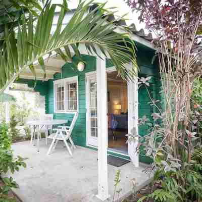 Green Oasis at OTRO Curaçao — Stay DIFFERENT in the middle of Willemstad Others