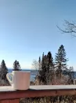 "蘇格蘭松":North Shore Grand Marais 經典小屋 - 小木屋