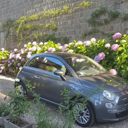 B&B A Piazza del Gesù