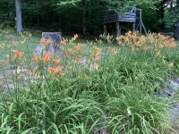 Brown County Cozy Cabin--Close to Story, Nashville, Columbus on 6 acres - 3-Star