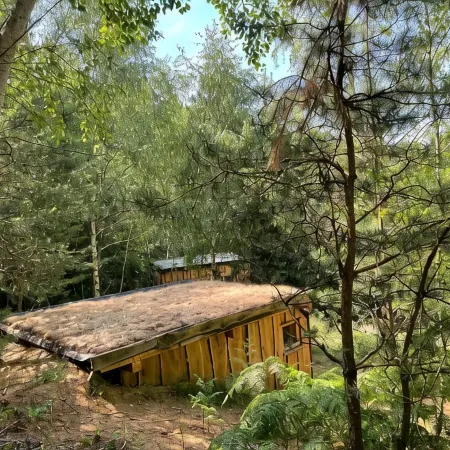 Boutique Glamping Divja DiVine