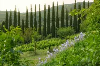 Between art and nature farm in Umbria Green Heart of Italy - Pools