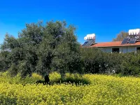 Bare Hill Holiday Village Hotels in Karavas