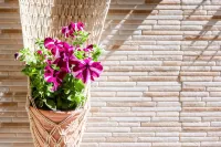 Ariadne Beautiful Studio - Parkplatz
