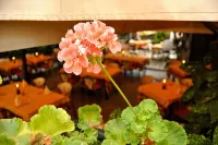 菲奧倫蒂諾里斯托蘭特飯店 - 早餐