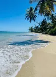 Amazing First Class Oceanfront Condo / the Perfect Getaway / Direct Beach Access - Boutique