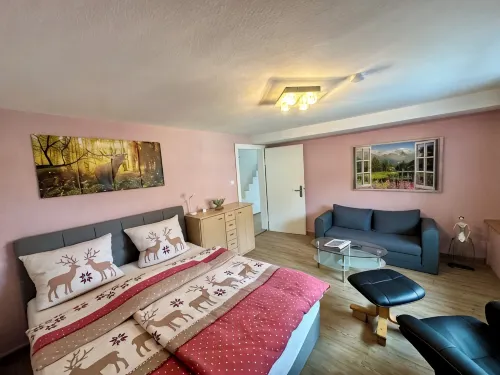 1-room apartment - Best city center location with whirlpool & DreiWelten-Card - Wi-Fi