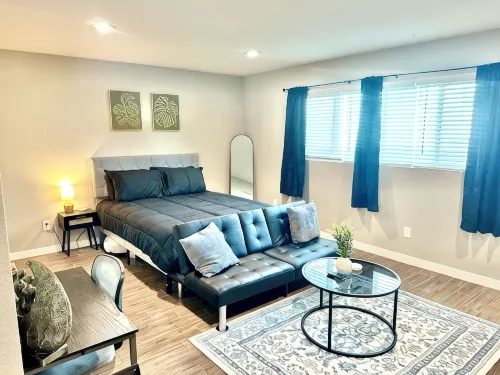Cozy Downtown Buffalo Bayou Studio! Free WiFi! - Condos