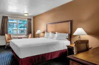 Virgin River Hotel and Casino