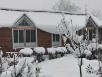 Queens Lakehouse Hotels in Srinagar