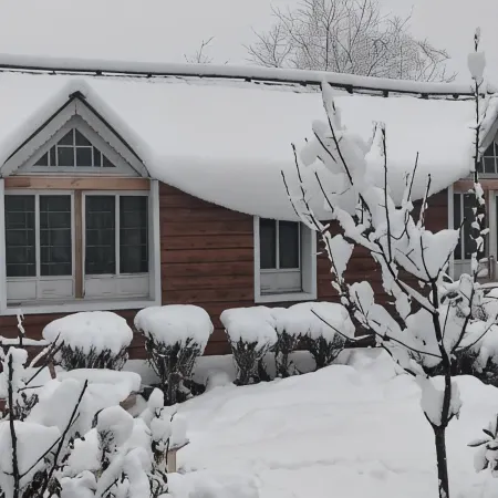 Queens Lakehouse Отели в г. Шринагар