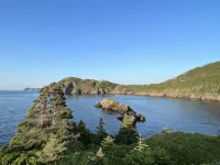 Oceanside Artists Cottage, Dunfield, Trinity Bay Hotels in Trinity