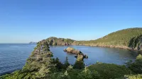 Oceanside Artists Cottage, Dunfield, Trinity Bay - 民泊