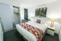The Miro Apartments - Apartments