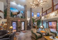 Comfort Inn & Suites Mt Rushmore - Wifi