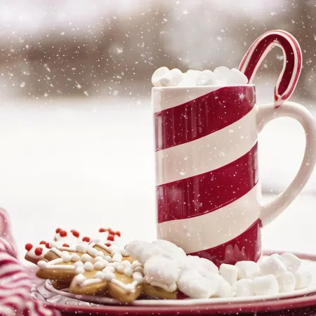 Holiday Inn & Suites LAFAYETTE NORTH by IHG