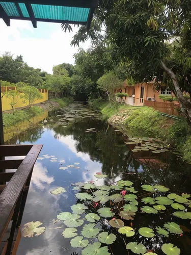 รูปภาพของSrikij GardenHome Resort