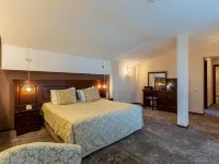 Alpin Resort Hotel Hotels near Ruia
