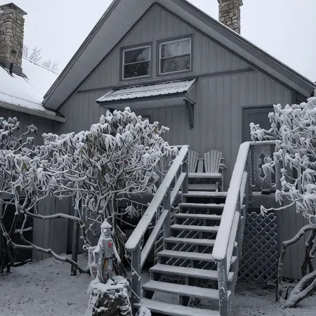 Welcome to the stunning Bergbewohner ski chalet!