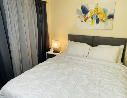 Rogers Park Cozy 1 bd, 1 bath unit. Gated parking. - Condos