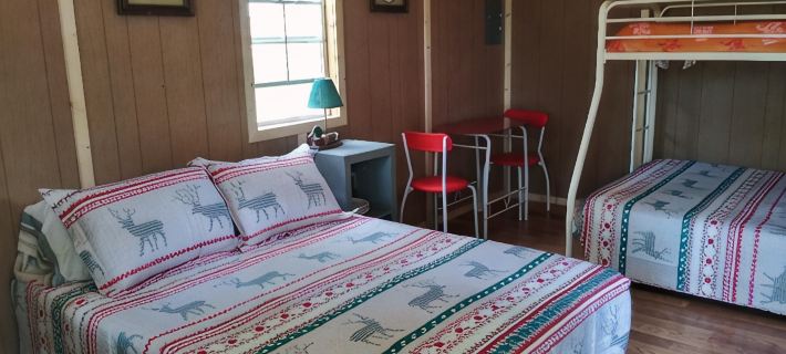 Pet friendly Camping cabin  close to Buffalo River Hotels in Searcy County