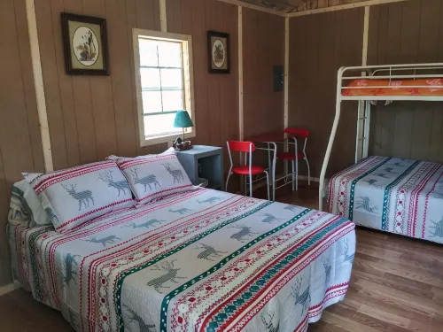 Pet friendly Camping cabin  close to Buffalo River