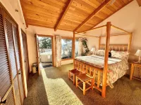 Paradise in Forest setting w/ Ocean views, hot tub, close to town & Hiking Hotels in Eastsound