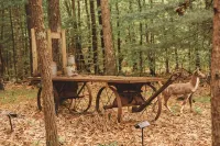 Luxury Cozy cabin with hot tub/ sauna/ Wifi/ close to rock house in Laurelville - 4-Star