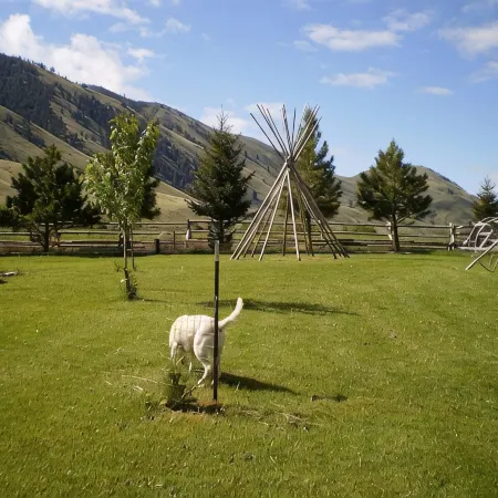 Trapper Cabin, Greyhouse Inn Vacation Rentals