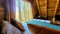 "Lady A"-frame Glamping Cabin @Nolichucky River near Smoky Mtns. - 4-Star