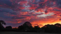 Peaceful, scenic,cosy cottage near Wells and Frome - Wifi
