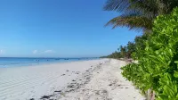 Zanzibar Bahari Villas - Servicios de Traslado