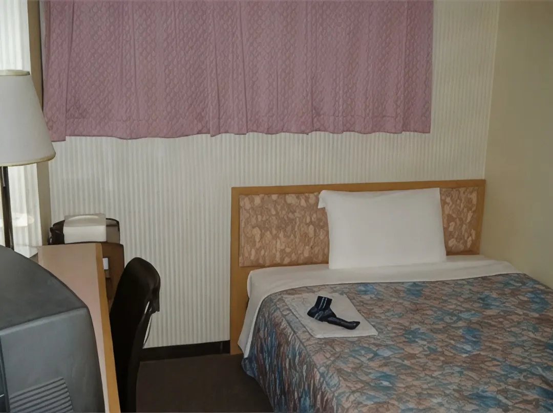 Business Hotel Shinjuku Town Hotel - Shibuya City