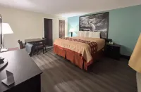 Motel 6 Old Saybrook, CT - 주차장