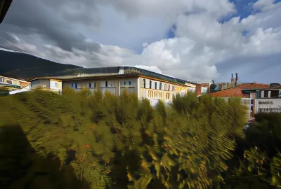 Hôtel Continental Hotels near Scala Santa