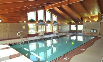 an indoor swimming pool with a large window , surrounded by wooden walls and potted plants at AmericInn by Wyndham Oswego